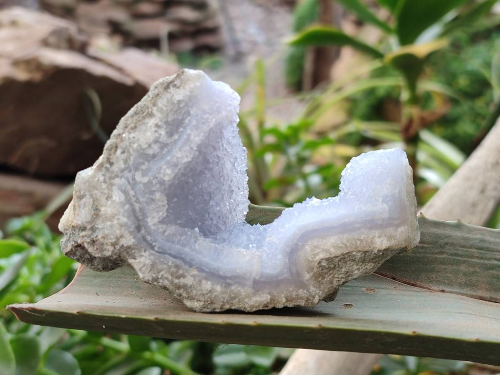 Natural Blue Lace Agate Geode Specimens x 24 From Malawi - Toprock Gemstones and Minerals 
