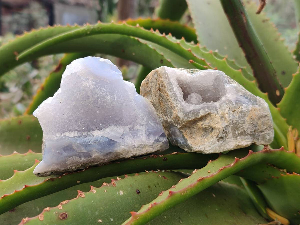 Natural Blue Lace Agate Geode Specimens x 24 From Malawi - Toprock Gemstones and Minerals 