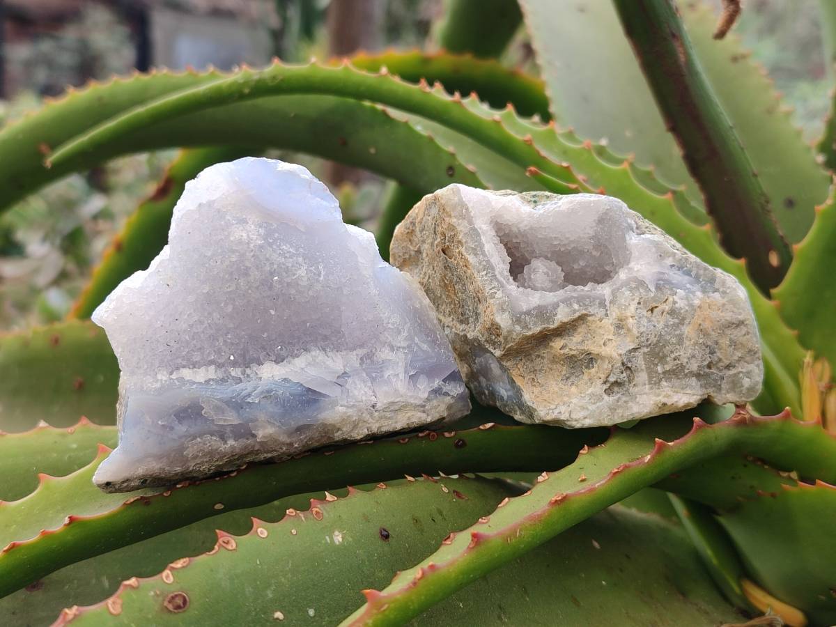 Natural Blue Lace Agate Geode Specimens x 24 From Malawi - Toprock Gemstones and Minerals 