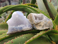 Natural Blue Lace Agate Geode Specimens x 24 From Malawi