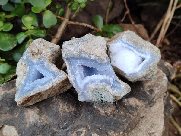 Natural Blue Lace Agate Geode Specimens x 24 From Malawi