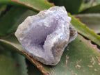 Natural Blue Lace Agate Geode Specimens x 24 From Malawi - Toprock Gemstones and Minerals 