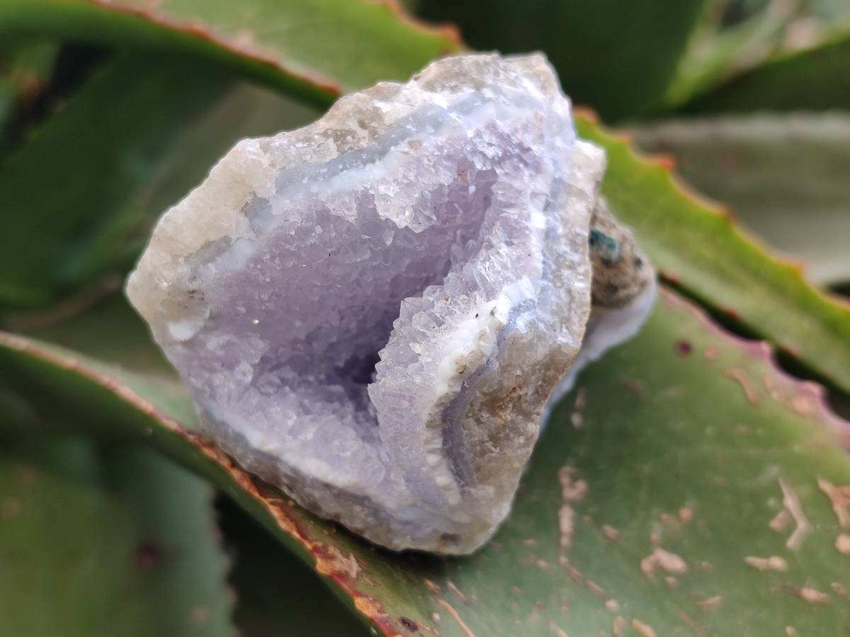 Natural Blue Lace Agate Geode Specimens x 24 From Malawi - Toprock Gemstones and Minerals 