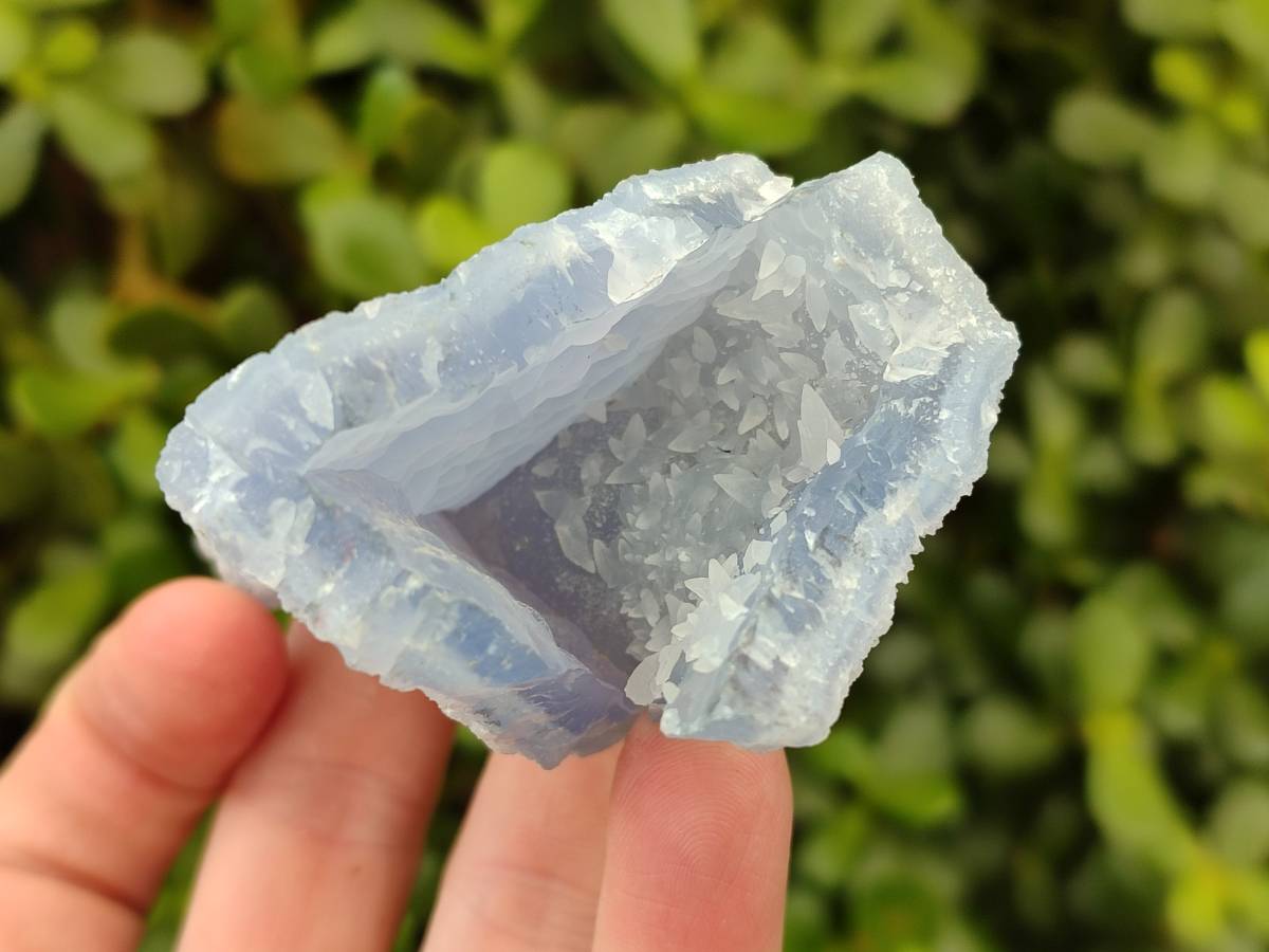 Natural Blue Lace Agate Geode Specimens x 24 From Malawi - Toprock Gemstones and Minerals 