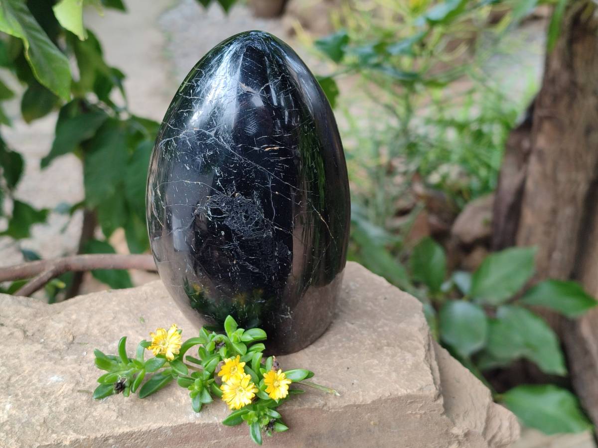 Polished Black Tourmaline Standing Free Form x 1 From Madagascar - Toprock Gemstones and Minerals 