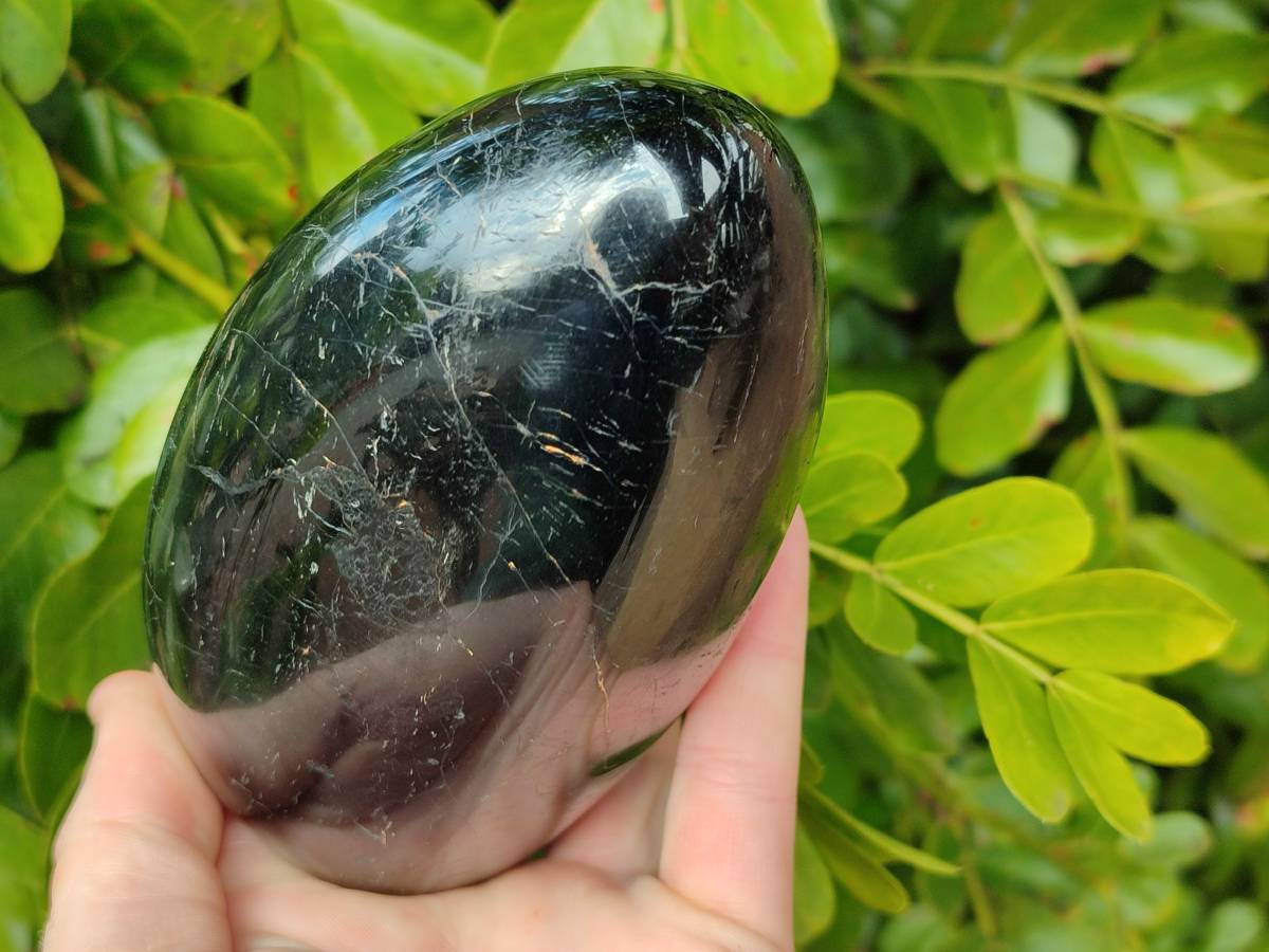 Polished Black Tourmaline Standing Free Form x 1 From Madagascar - Toprock Gemstones and Minerals 