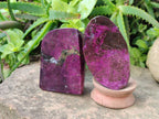 Polished Stichtite Free Forms x 4 From Barberton, South Africa - Toprock Gemstones and Minerals 