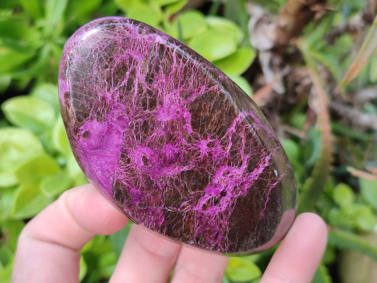 Polished Stichtite Free Forms x 4 From Barberton, South Africa - Toprock Gemstones and Minerals 
