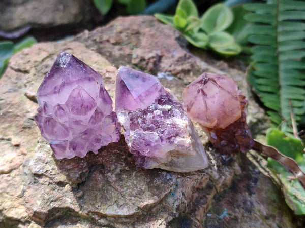 Natural Amethyst Spirit Quartz Crystals x 35 From Boekenhouthoek, South Africa