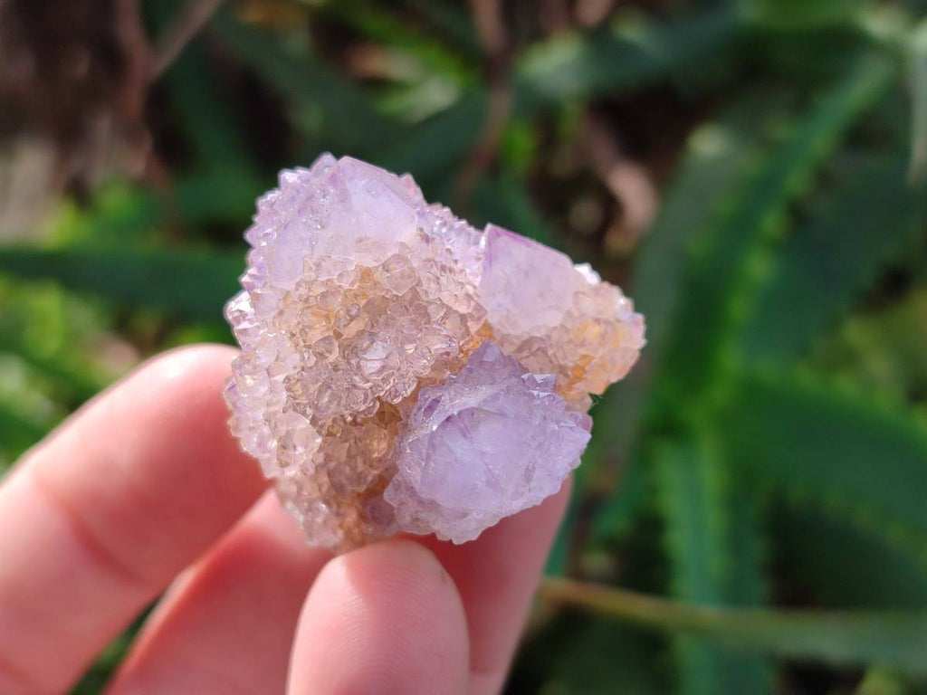 Natural Amethyst Spirit Quartz Crystals x 35 From Boekenhouthoek, South Africa - Toprock Gemstones and Minerals 