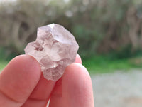 Natural Amethyst Spirit Quartz Crystals x 35 From Boekenhouthoek, South Africa