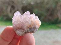 Natural Amethyst Spirit Quartz Crystals x 35 From Boekenhouthoek, South Africa