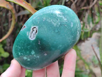 Polished Emerald Mtorolite Free Forms x 6 From Mutorashanga, Zimbabwe - Toprock Gemstones and Minerals 