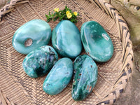 Polished Emerald Mtorolite Free Forms x 6 From Mutorashanga, Zimbabwe - Toprock Gemstones and Minerals 