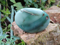 Polished Emerald Mtorolite Free Forms x 6 From Mutorashanga, Zimbabwe - Toprock Gemstones and Minerals 