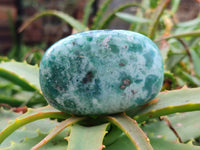 Polished Emerald Mtorolite Free Forms x 6 From Mutorashanga, Zimbabwe - Toprock Gemstones and Minerals 