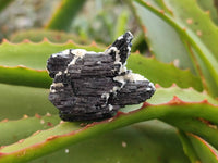 Natural Schorl Black Tourmaline Specimens x 35 From Namibia