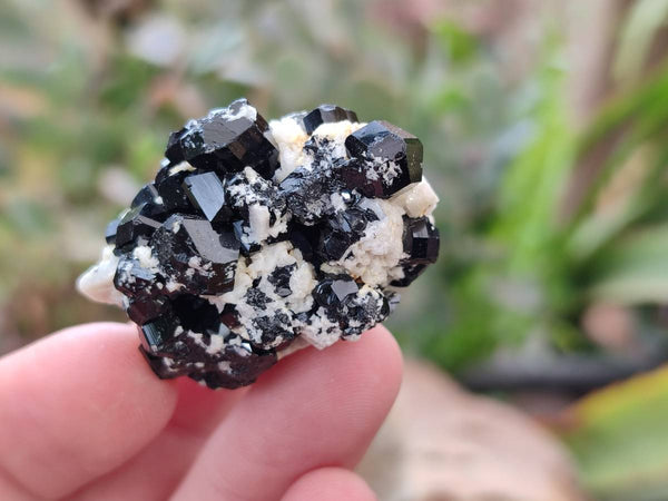 Natural Schorl Black Tourmaline Specimens x 35 From Namibia
