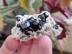 Natural Schorl Black Tourmaline Specimens x 35 From Namibia - Toprock Gemstones and Minerals 