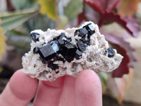 Natural Schorl Black Tourmaline Specimens x 35 From Namibia