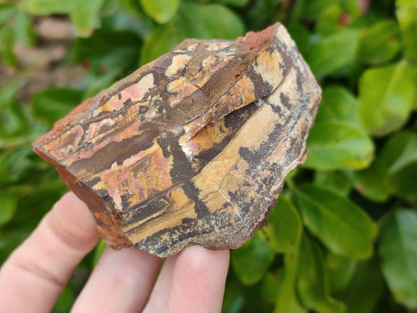 Natural Nguni Jasper Cobbed Specimens x 24 From Prieska, South Africa