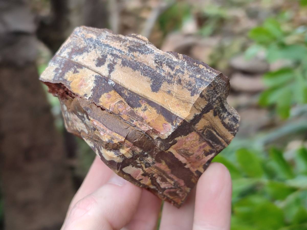 Natural Nguni Jasper Cobbed Specimens x 24 From Prieska, South Africa - Toprock Gemstones and Minerals 