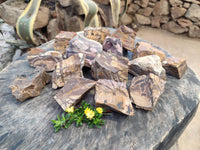 Natural Nguni Jasper Cobbed Specimens x 24 From Prieska, South Africa