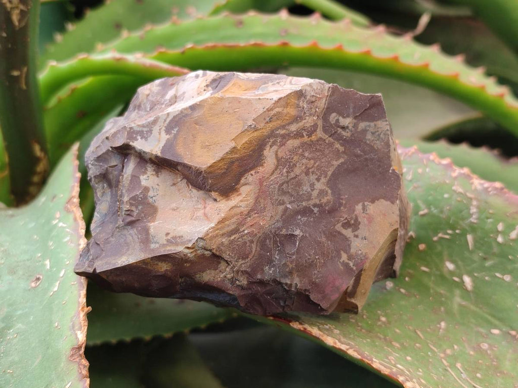 Natural Nguni Jasper Cobbed Specimens x 24 From Prieska, South Africa - Toprock Gemstones and Minerals 