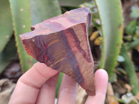 Natural Nguni Jasper Cobbed Specimens x 24 From Prieska, South Africa