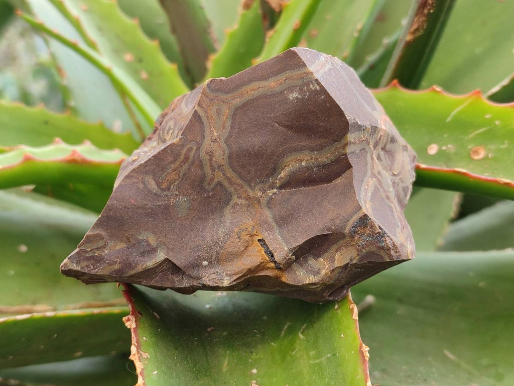 Natural Nguni Jasper Cobbed Specimens x 24 From Prieska, South Africa - Toprock Gemstones and Minerals 