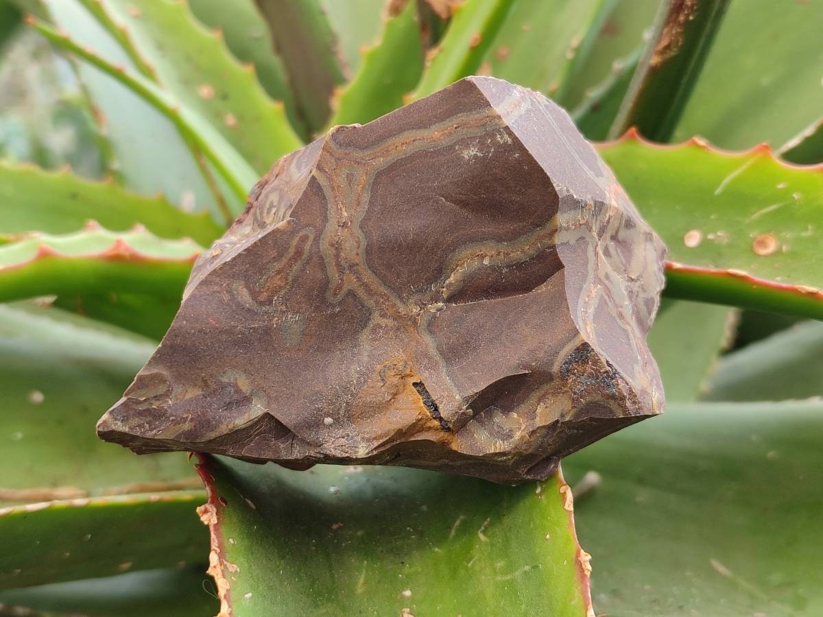 Natural Nguni Jasper Cobbed Specimens x 24 From Prieska, South Africa - Toprock Gemstones and Minerals 