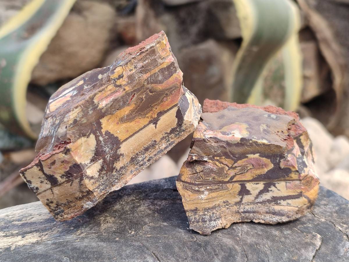Natural Nguni Jasper Cobbed Specimens x 24 From Prieska, South Africa - Toprock Gemstones and Minerals 