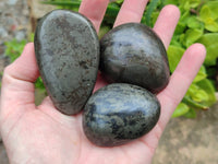Polished Rare Pharaoh Stone Pyrite in Basalt Palm Stones x 6 Iron Duke Mine, Zimbabwe - Toprock Gemstones and Minerals 