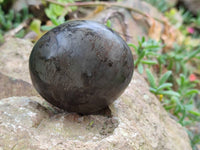 Polished Rare Pharaoh Stone Pyrite in Basalt Palm Stones x 6 Iron Duke Mine, Zimbabwe - Toprock Gemstones and Minerals 