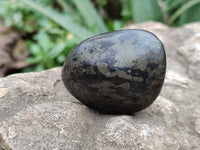 Polished Rare Pharaoh Stone Pyrite in Basalt Palm Stones x 6 Iron Duke Mine, Zimbabwe - Toprock Gemstones and Minerals 