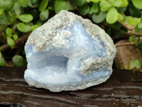 Natural Blue Lace Agate Geode Specimens x 6 From Malawi