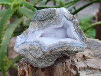 Natural Blue Lace Agate Geode Specimens x 6 From Malawi
