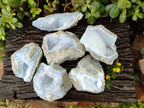 Natural Blue Lace Agate Geode Specimens x 6 From Malawi - Toprock Gemstones and Minerals 