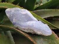 Natural Blue Lace Agate Geode Specimens x 6 From Malawi