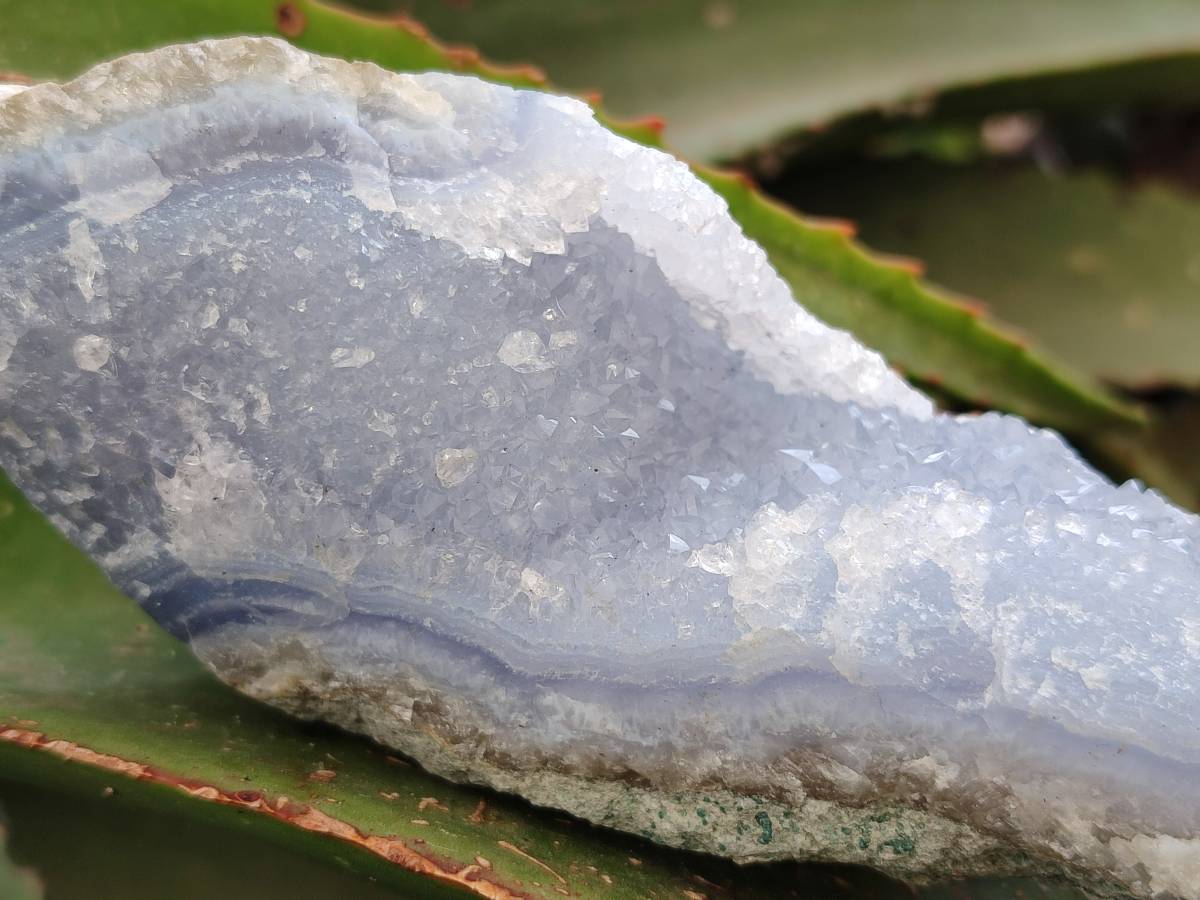 Natural Blue Lace Agate Geode Specimens x 6 From Malawi - Toprock Gemstones and Minerals 