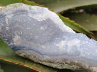 Natural Blue Lace Agate Geode Specimens x 6 From Malawi
