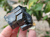 Natural Schorl Black Tourmaline Specimens x 12 From Erongo, Namibia