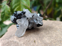 Natural Schorl Black Tourmaline Specimens x 12 From Erongo, Namibia
