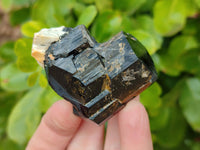 Natural Schorl Black Tourmaline Specimens x 12 From Erongo, Namibia