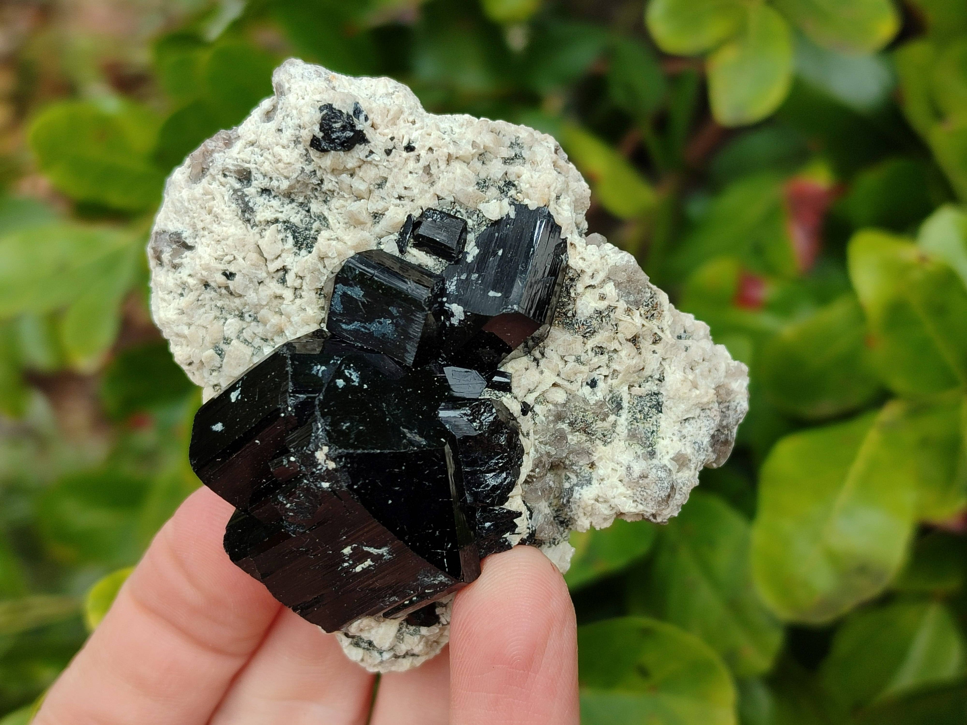 Natural Schorl Black Tourmaline Specimens x 12 From Erongo, Namibia - Toprock Gemstones and Minerals 