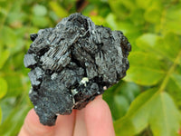 Natural Schorl Black Tourmaline Specimens x 12 From Erongo, Namibia