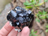 Natural Schorl Black Tourmaline Specimens x 12 From Erongo, Namibia