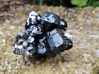 Natural Schorl Black Tourmaline Specimens x 12 From Erongo, Namibia