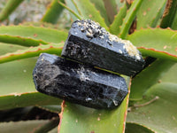 Natural Schorl Black Tourmaline Specimens x 12 From Erongo, Namibia