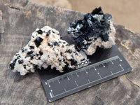 Natural Schorl Black Tourmaline Specimens x 12 From Erongo, Namibia